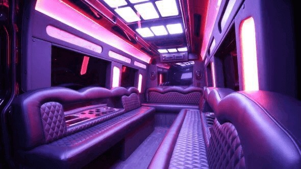 Interior of Dickinson Party Bus Company's 18 Passenger Party Bus in Dickinson